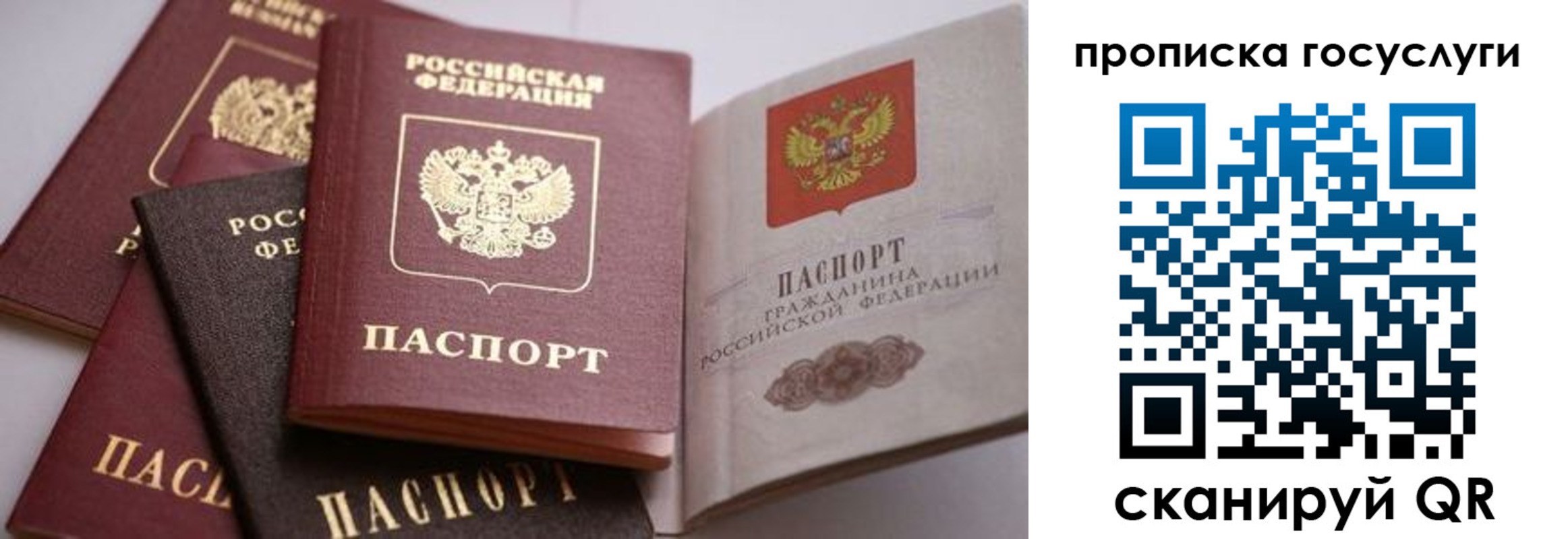 прописка иностранных граждан в Ставрополе